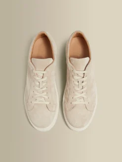 Best Suede Sneakers Shoes