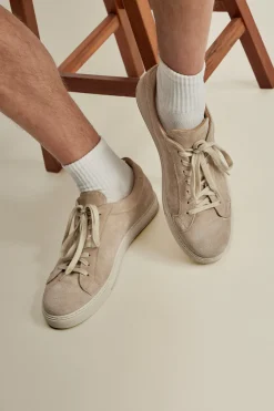 Best Suede Sneakers Shoes